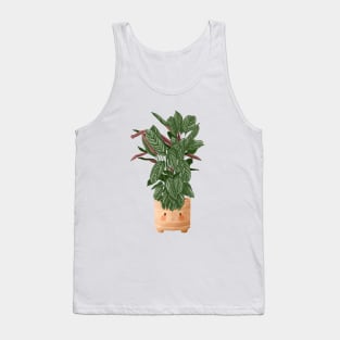 Cute Plant Illustration, Calathea Makoyana Compact Star Tank Top